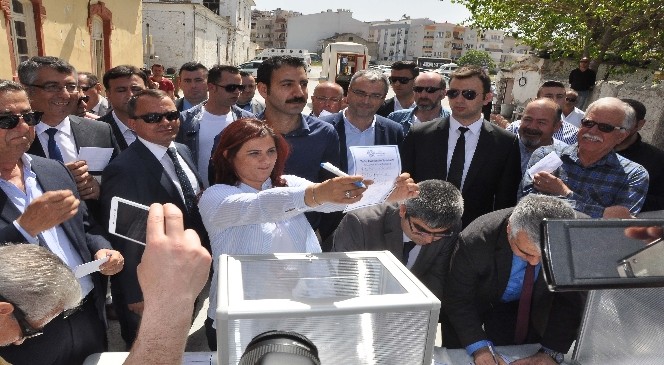 Tariş arsası için referandum