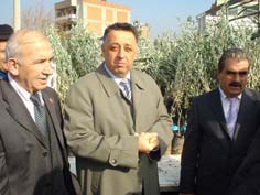 Söke zeytin fidanları ile yeşillenecek