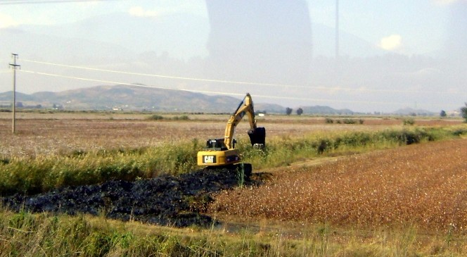 Aydın'da pamuk ekim alanları yüzde 25 arttı