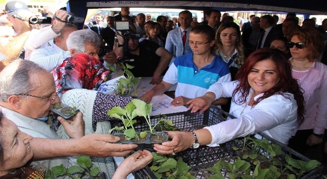 Aydın Büyükşehir Efeler'de 70 bin sebze fidesi dağıttı