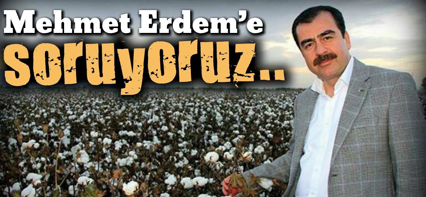 AKP'li çırçır işletmecilerinin ruhsat sorunu ne durumda?