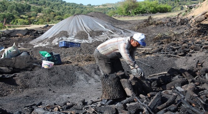 Yaz yaklaştı mangal kömürü yapımı hızlandı