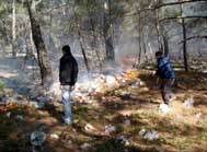 Doğa harikası Ilbıra Dağları’nda yangın