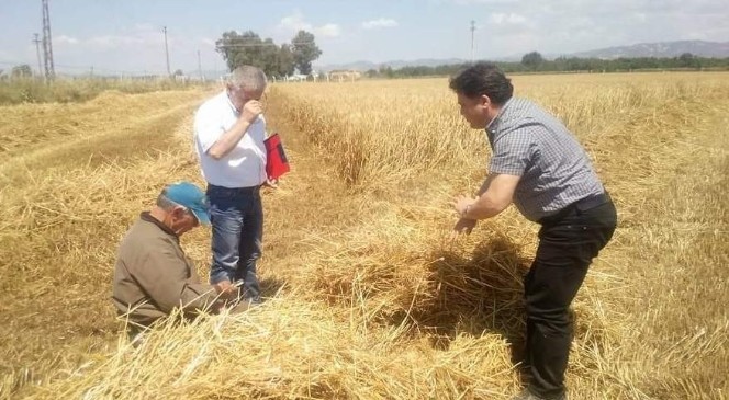 Aydın'da biçerdöver kontrolü ve anız yangını tebliği yayınlandı