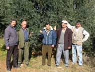 Yamalak sarısı tescilleniyor