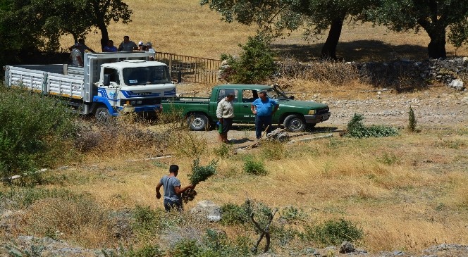 Söke’de hazine arazisini izinsiz kullanıma geçit yok