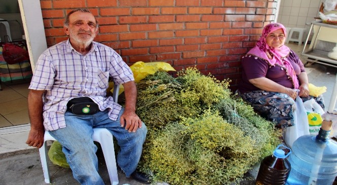 Söke’de şifalı tarhana otu pazarda ilgi görüyor