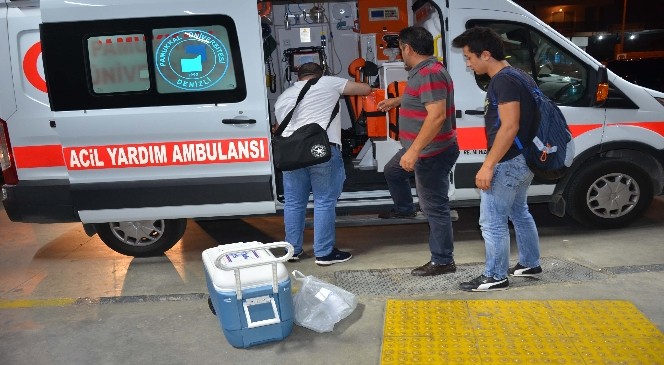 Trafik kazasında hayatını kaybeden kadın 5 hastaya umut oldu