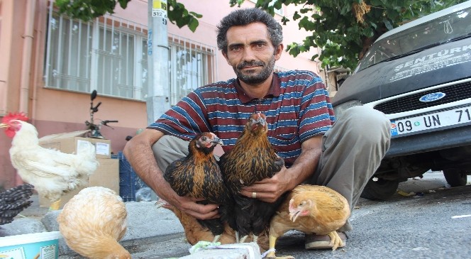 Kanatlılar sağlık için pazara indi