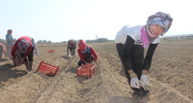 Yolun öteki tarafındaki farklı dünya