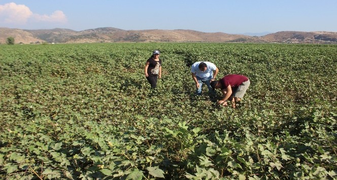 Kırmızı ile baş edildi, şimdi Avrupa’sı çıktı