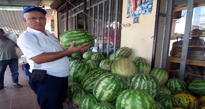 Aydın’ın Cincin karpuzu kapış kapışa gidiyor