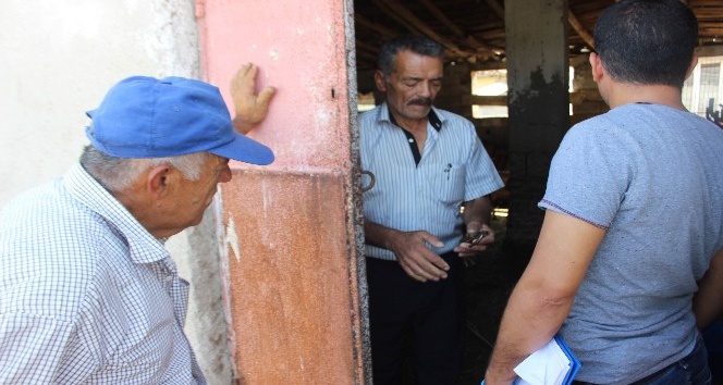 Takibe aldıkları kebapçının kuzularını çaldılar