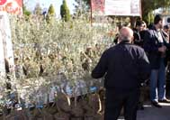 Üreticiler fidanlarını teslim aldı