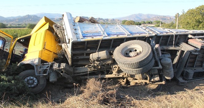 Minik arı yüklü TIR’ı yoldan çıkardı