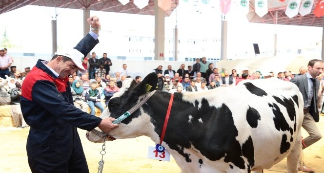 Türkiye hayvancılık sektörü Kuşadası’nda buluşacak