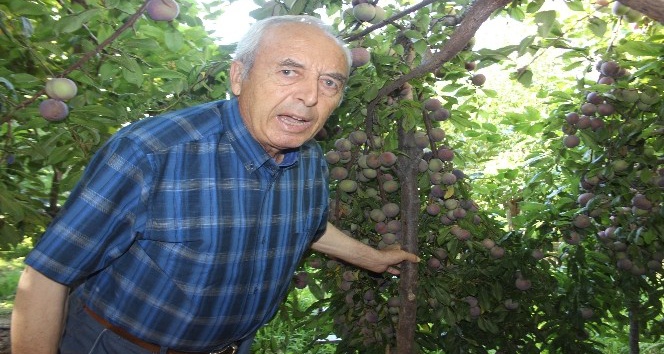 Bu bahçe, yöre çiftçisine örnek oluyor