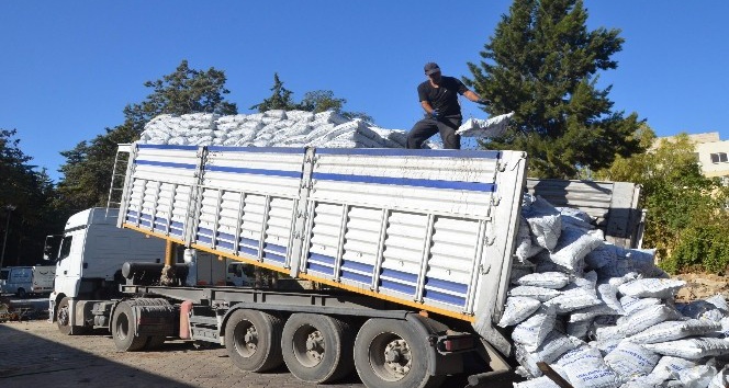 Kuşadası Belediyesi, 3 bin aileye kömür yardımı yapacak