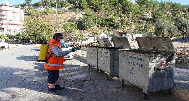 Kuşadası’nda haşerelere karşı yıl boyu etkin mücadele ediliyor