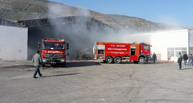 Söke’de çıkan yangında pamuklar kül oldu