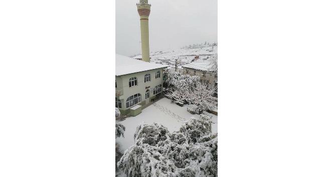 Aydın’da muhteşem kar manzaraları