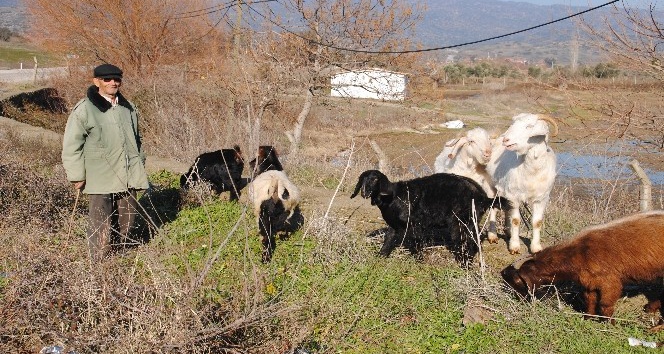 Doğuda kar, Aydın’da bahar