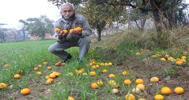 Tarlada bedava markette ateş pahası