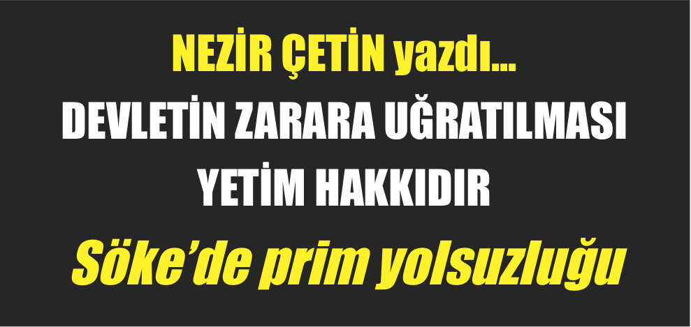 "Bu vurgunun sadece Söke'de değil tüm Türkiye genelinde..."