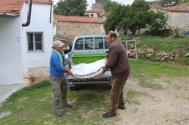 Söke'de İlk Leylek Un Çuvalı İle Geldi