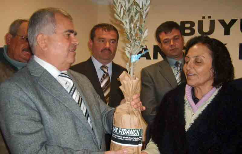 65 yaşında sertfikalı zeytinci oldu