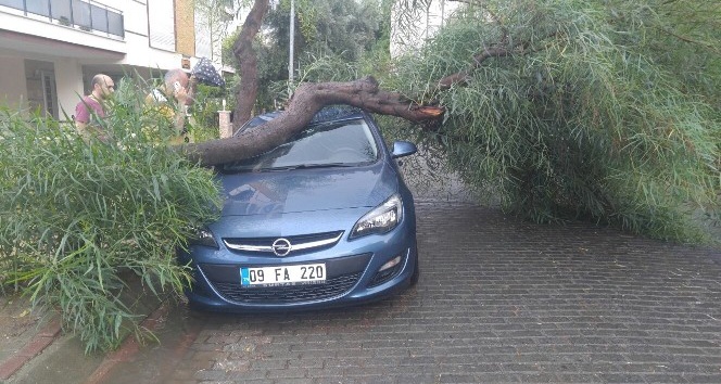 Yağmur ve fırtına sonrası Aydın manzaraları