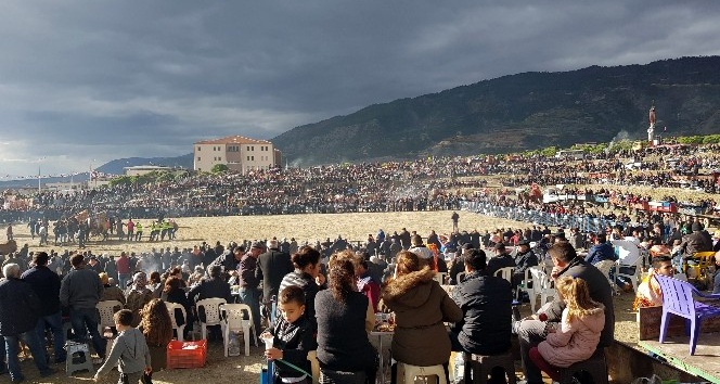 Buharkent’te deve güreşlerine büyük ilgi