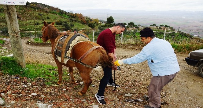 Randevu ile nal çakıyor