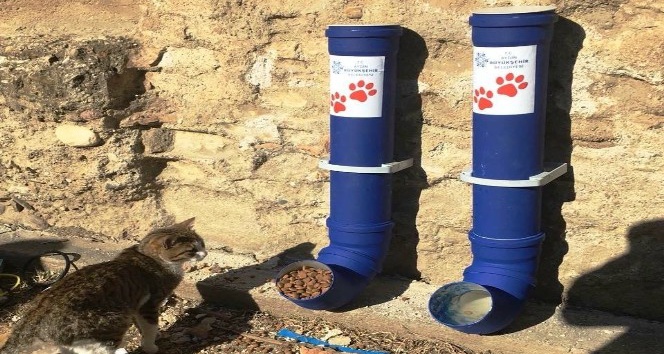 Sokak hayvanları için beslenme odakları yerleştirildi