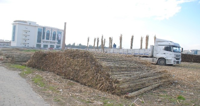 Kargı, Aydın’da yaşayan Romanların ekmek kaynağı oldu