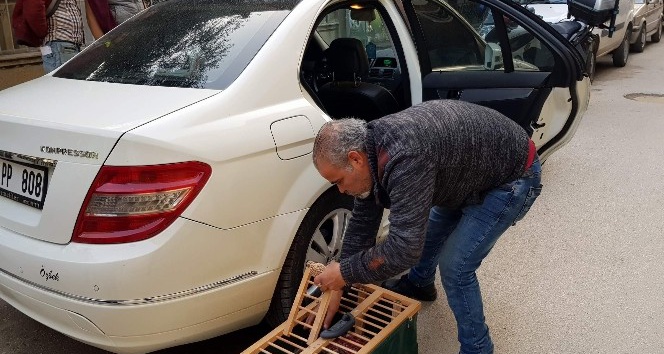 Lüks otomobilde ölüme terk edildiler