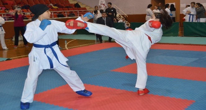 Karate İl Şampiyonası tamamlandı