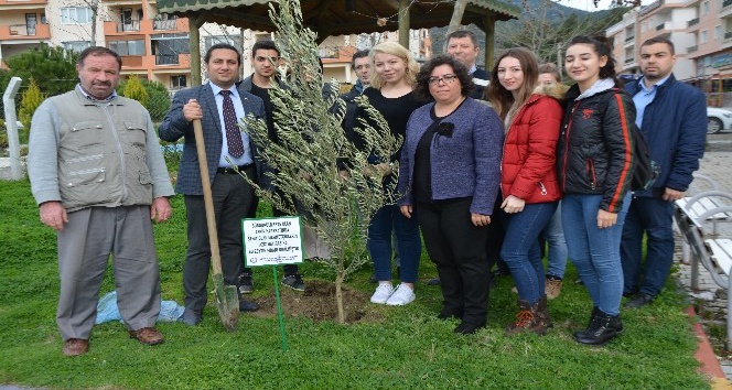 Söke’de Afrin Şehitlerinin anısına zeytin fidanı dikildi