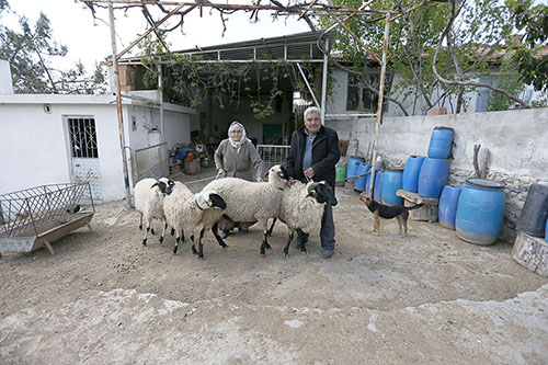 BÜYÜKŞEHİRDEN ŞEHİT YAKINLARINA DESTEK