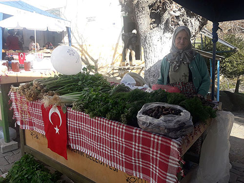 Dağların Şifalı Bitkileri Tarihi Kavaklı Köy Pazarı'nda