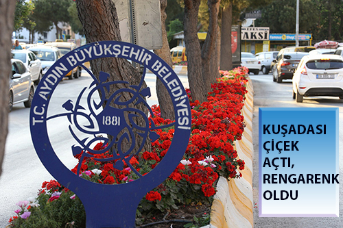 Aydın Büyükşehir Belediyesi, Kuşadası'nı rengârenk süsledi.