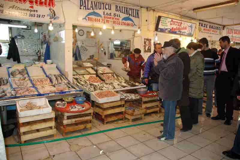 Balık bereketi yaşanıyor