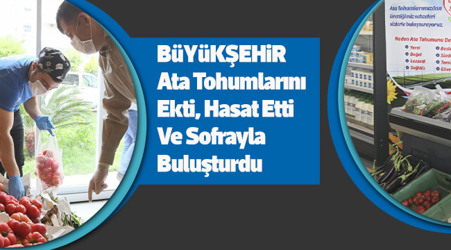 Aydın Büyükşehir Belediyesi Ata Tohumlarını Ekti, Hasat Etti Ve Sofrayla Buluşturdu