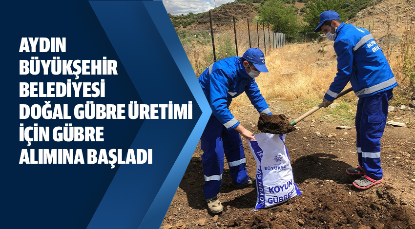 AYDIN BÜYÜKŞEHİR BELEDİYESİ DOĞAL GÜBRE ÜRETİMİ İÇİN GÜBRE ALIMINA BAŞLADI