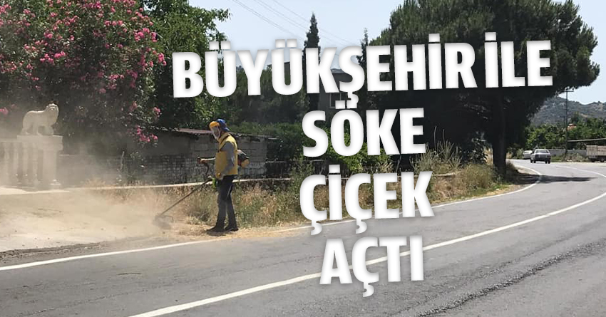 BÜYÜKŞEHİR İLE SÖKE ÇİÇEK AÇTI