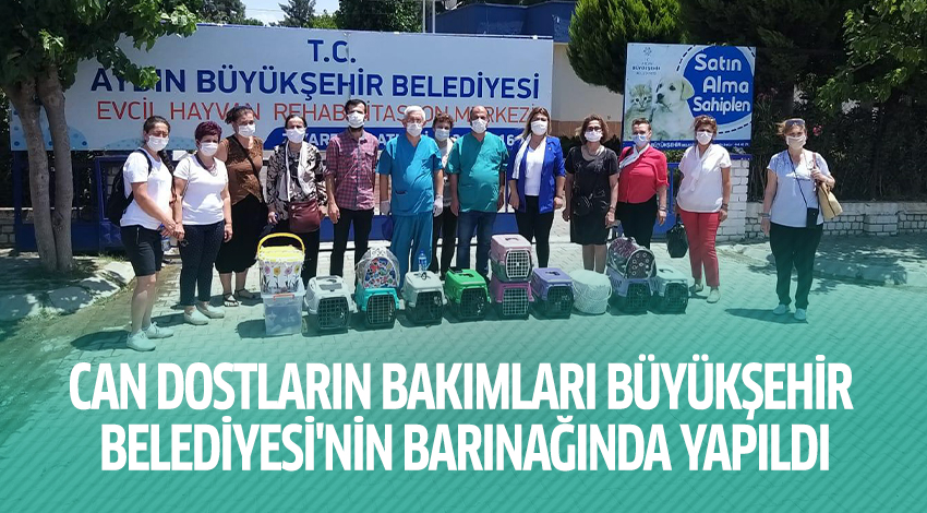 CAN DOSTLARIN BAKIMLARI BÜYÜKŞEHİR BELEDİYESİ'NİN BARINAĞINDA YAPILDI