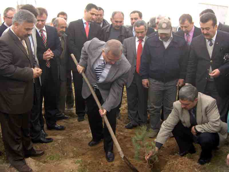 Aydın’da ağaçlandırma çalışmaları hız kesmiyor