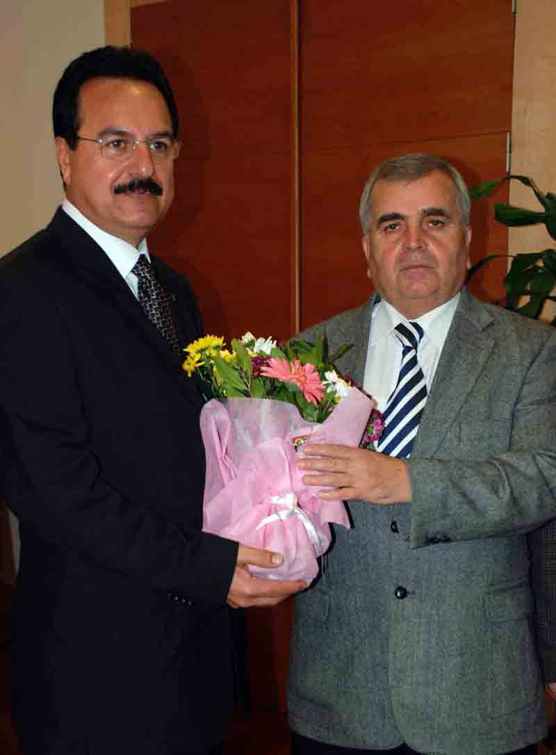 İskân izni için ağaç dikme şartı