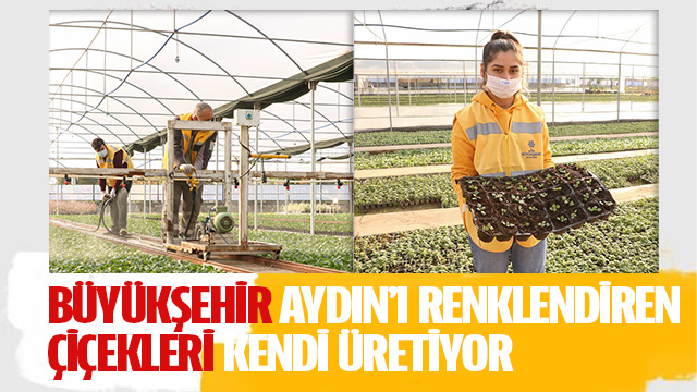 BÜYÜKŞEHİR ŞEHRİ RENKLENDİREN ÇİÇEKLERİ KENDİ ÜRETİYOR