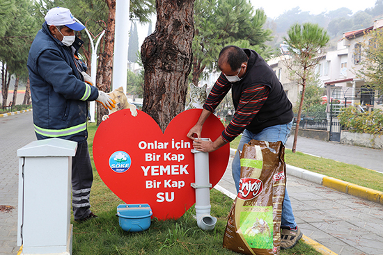 Söke Belediyesi mama kabı sayısını arttırdı